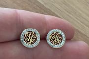 Stainless steel earrings