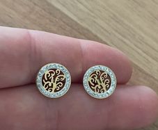 Stainless steel earrings