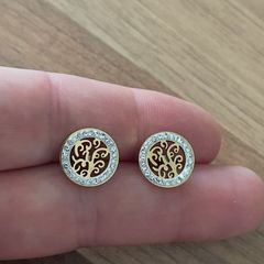 Stainless steel earrings