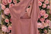 Miss Selfridge Dress