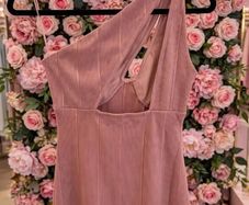 Miss Selfridge Dress