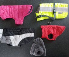 Dog Coats, Leads & Accessories