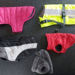 Dog Coats, Leads & Accessories