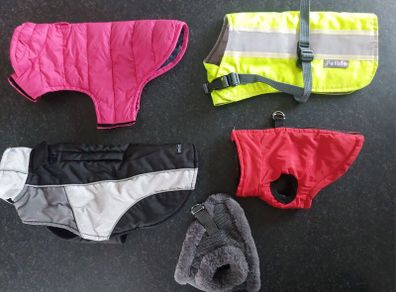 Dog Coats, Leads & Accessories