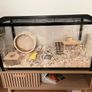 Hamster enclosure 96 x 47 x 55 Image 2