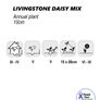 (D) Livingstone Daisy Seeds 0.2g (415083) Image 3