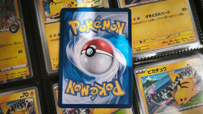 Arven's Greedent ! Illustration Rare ! from Heat Wave Arena Set ! 2025 ! Korean Pokemon Card !