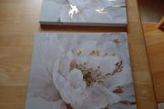 CANVAS prints  12 inches x 12 inches