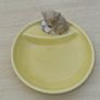 Antique porcelain trinket tray Wade Whimtray Image 2
