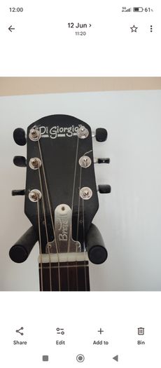 DIGIORGIO semi acoustic guitar