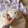 Seal teddy Image 3