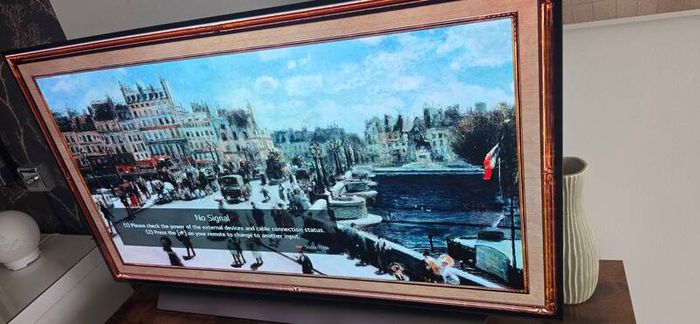 Lg Oled 48"