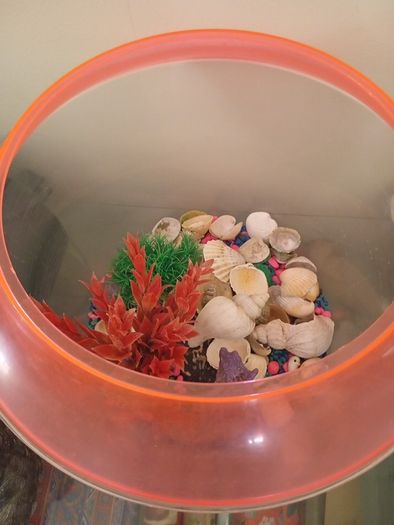 fish tank 50 liters with see decorations, just add water and your pet, ready to use