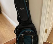 Spectrum guitar gig bag