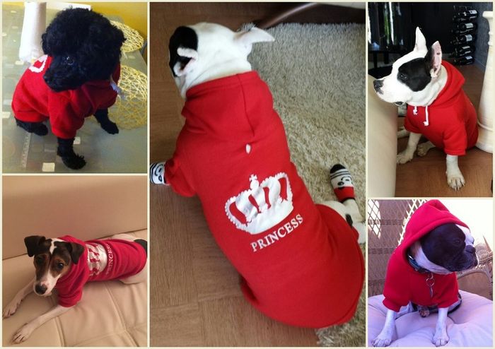 NEW dog/cat winter hoodies in SMALL & LARGE sizes