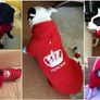 NEW dog/cat winter hoodies in SMALL & LARGE sizes Image 4