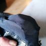 beautiful designer ashwood genuine leather black bag Image 10