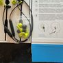 Sennheiser CX SPORT - In Ear Wireless Headphones Image 2