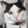 Custom Cat Portrait Image 5