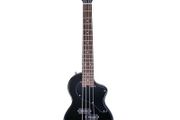 Travel Bass