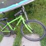 Green kids Frog bike with helmet Image 2
