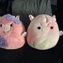Squishmallows assorted sizes Image 2