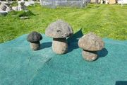Mushrooms