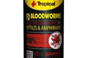 Tropical FD Blood Worms 250ML/17G