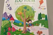 Irish language children's book