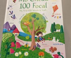 Irish language children's book