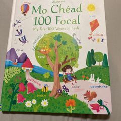 Irish language children's book