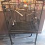 bird cage Image 2
