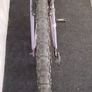 ladies 26inch bike Image 5