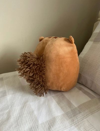 Sawyer the Squirrel Squishmallow