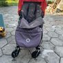 buggy Image 2