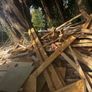 free wood to take away Image 3