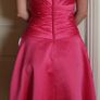 New Ebony Rose Dress Image 2