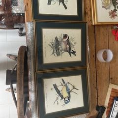 Vintage bird prints by the British wildlife artist David Andrews