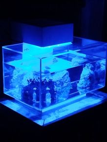 Fish tank