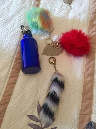 schoolbag keyrings and clip on water bottle