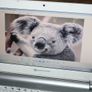 Packard Bell Windows 7 Laptop Image 9
