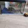fish tank Image 2