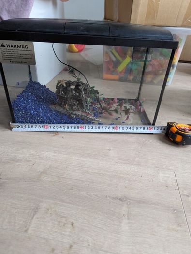 fish tank