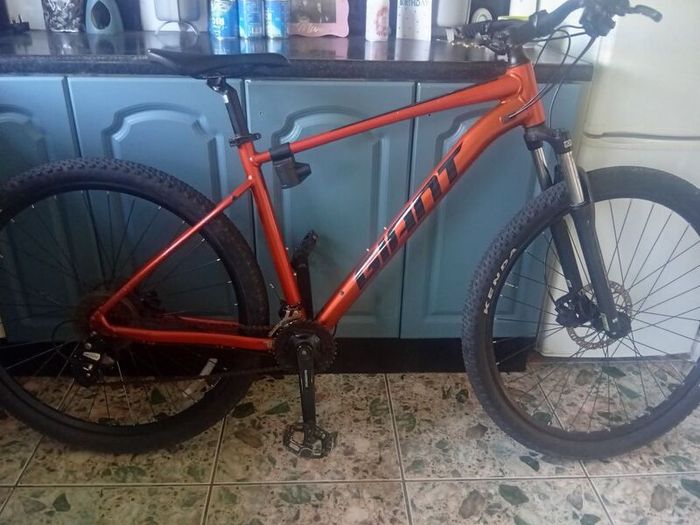 giant bike