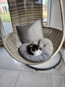 Egg seat