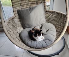 Egg seat