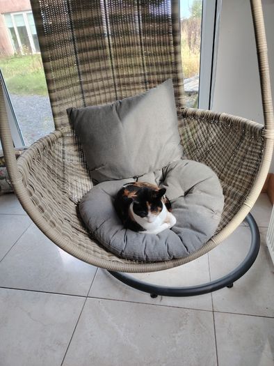 Egg seat
