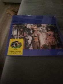 The Slits Cut vinyl