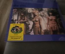 The Slits Cut vinyl