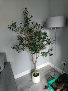 Fake olive tree